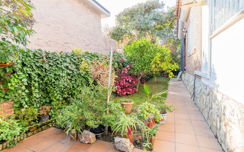 Aurea: Vand, Himmel, Sky, Plante, Azure, Træ, Strand, Arecales