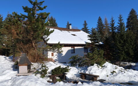 Harrachov 637: Ejendom, Himmel, Bord, Træ, Skygge, Etage, Udendørs Møbler, Stol, Gulvbelægning, Bejdse