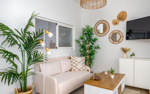 Palm Beach: Couch, Plante, Møbel, Ejendom, Belysning, Stueplante, Indretning, Stue, Gul, Etage