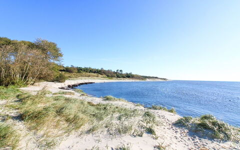 Roir - 250M from the Sea: Hus, Sommerhus, Tag, Garden Bygninger, Skygge, Skur, Backyard, Udendørs Møbler, Gård, Lawn