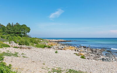 Gjuro - 50M from the Sea