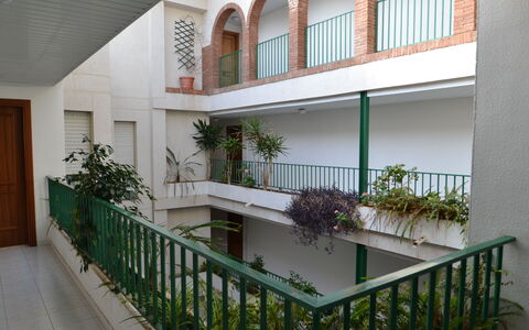 Sevilla: Plante, Ejendom, Stueplante, Bygning, Blomsterkrukke, Belysning, Indretning, Træ, Gulvbelægning, Etage