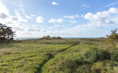 Kajsa - 50M from the Sea: Hus, Hjem, Tag, Sommerhus, Land Lot, Estate, Stuehus, Landsby, Farm