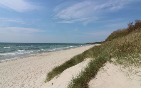 Greta - 200M from the Sea: Krop Af Vand, Strand, Kyst, Coastal Og Oceaniske Landskabsformer, Kyst, Hav, Sand, Ocean, Bank