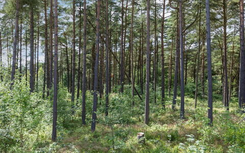Anarosa - 200M from the Sea: Møbel, Indretning, Couch, Gulvbelægning, Etage, Stue, Værelse, Bord, Stol, Lejlighed
