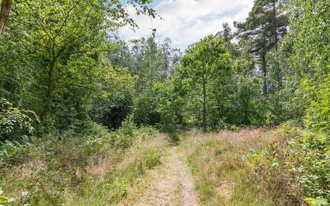 Anarosa - 200M from the Sea: Møbel, Indretning, Couch, Gulvbelægning, Etage, Stue, Værelse, Bord, Stol, Lejlighed