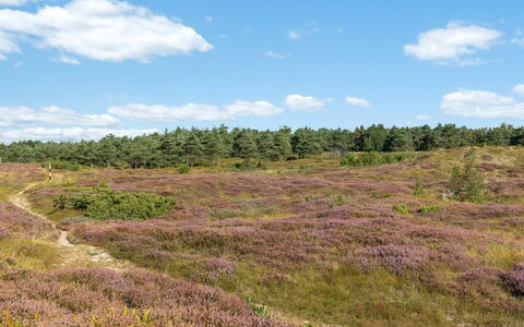 Anarosa - 200M from the Sea: Møbel, Indretning, Couch, Gulvbelægning, Etage, Stue, Værelse, Bord, Stol, Lejlighed
