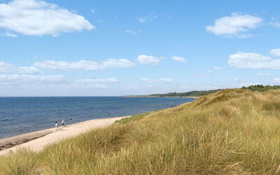 Anarosa - 200M from the Sea