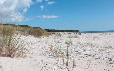 Nis - 200M from the Sea: Tækning, Sommerhus, Hus, Tag, Hjem, Stuehus, Hytte, Estate, Landsby