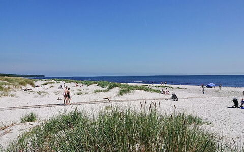 Zeytun - 800M from the Sea: Træ, Møbel, Lejlighed, Værelse, Loft, Bejdse, Stol, Hårdttræ, Klarlak, Tømmer