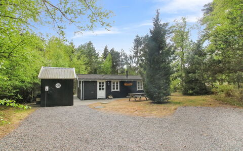 Zeytun - 800M from the Sea: Træ, Møbel, Lejlighed, Værelse, Loft, Bejdse, Stol, Hårdttræ, Klarlak, Tømmer