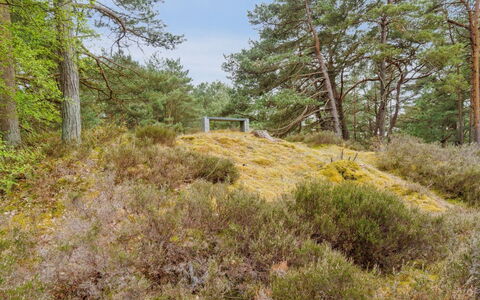 Bergulv - 75M from the Sea: Hus, Sommerhus, Tag, Garden Bygninger, Skygge, Skur, Backyard, Udendørs Møbler, Gård, Lawn
