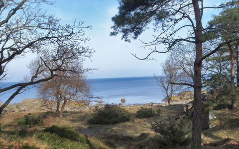 Lätizia - 300M from the Sea: Himmel, Blå, Naturligt Miljø, Vegetationen, Afdeling, Naturlige Landskab, Kyst, Økoregion, Coastal Og Oceaniske Landskabsformer, Plantesamfund