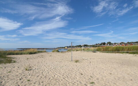Eija - 5M from the Sea: Sommerhus, Have, Sidespor, Garden Bygninger, Skygge, Gård, Backyard, Lawn, Stuehus, Landscaping