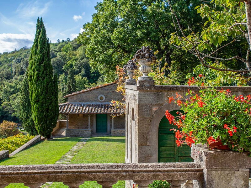 Garden and outdoor view