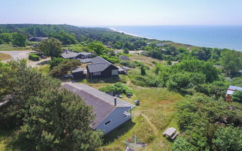 Bondi - 150M from the Sea: Træ, Møbel, Lejlighed, Værelse, Loft, Bejdse, Stol, Hårdttræ, Klarlak, Tømmer