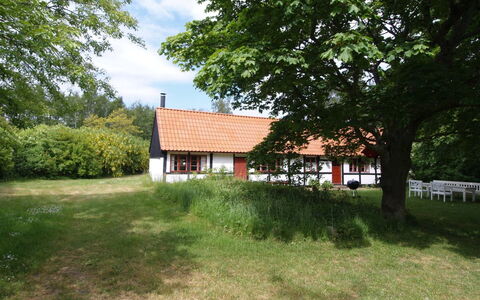 Viggo - 300M from the Sea: Træ, Hus, Sommerhus, Hjem, Tag, Landdistrikt, Sidespor, Bjælkehytte, Garden Bygninger, Hårdttræ