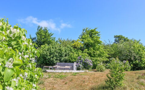 Benna - 120M from the Sea: Blå, Træ, Grøn, Blad, Natur, Vegetationen, Busk, Plantesamfund, Land Lot, Landdistrikt