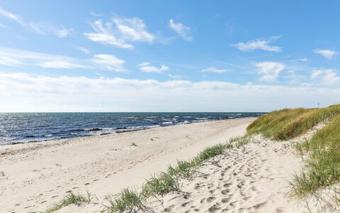 Ailen - 500M from the Sea: Blå, Himmel, Strand, Naturligt Miljø, Kyst, Horisont, Sand, Kyst, Sommer