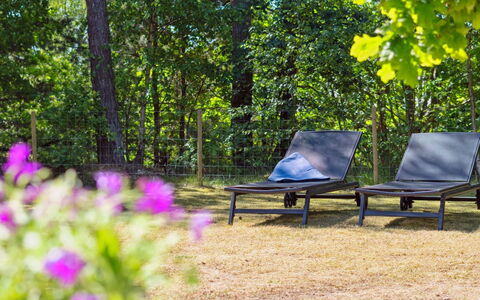 Malou - 350M from the Sea: Møbel, Udendørs Møbler, Plantesamfund, Sollys, Bunddække, Skygge, Skov, Naturreservat, Have, Woodland