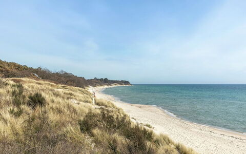 Hilje - 350M from the Sea: Græs, Busk, Hus, Have, Hjem, Sommerhus, Land Lot, Lawn, Bunddække