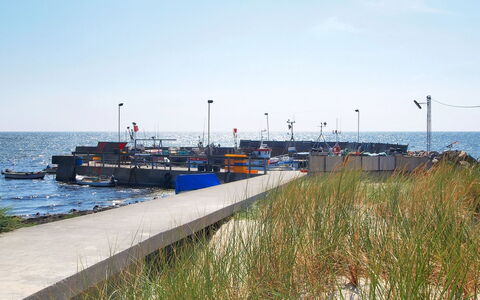 Hilje - 350M from the Sea: Græs, Busk, Hus, Have, Hjem, Sommerhus, Land Lot, Lawn, Bunddække