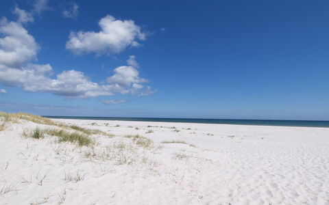 Jose - 300M from the Sea: Tag, Hus, Land Lot, Hjem, Sommerhus, Estate, Garden Bygninger, Skygge, Bjælkehytte, Landscaping