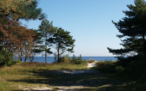 Elsamaria - 400M from the Sea: Himmel, Blå, Naturligt Miljø, Afdeling, Vegetationen, Sommer, Økoregion, Plantesamfund, Ødemark, Bagagerum