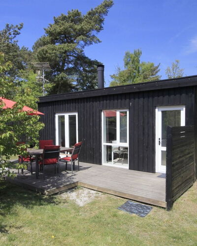 Evert - 250M from the Sea