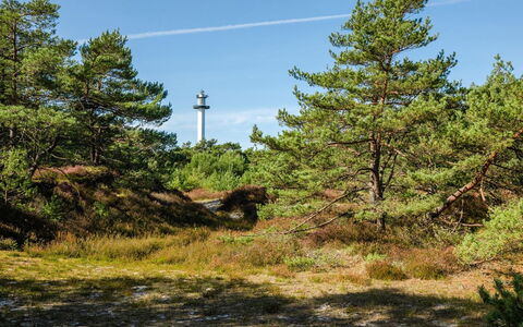 Elza - 800M from the Sea: Himmel, Plantesamfund, Shrubland, Skov, Chaparral, Jungle, Tropisk Og Subtropisk Nåleskov, Evergreen, Pine Family