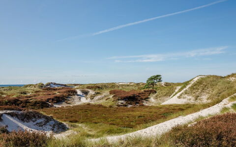 Elza - 800M from the Sea: Himmel, Økoregion, Terræn, Horisont, Landskab, Plantesamfund, Ødemark, Shrubland, Geologi, Hældning