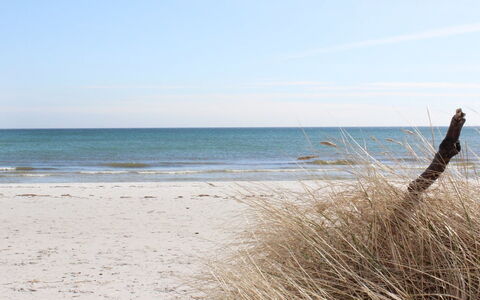 Elza - 800M from the Sea: Tag, Hus, Land Lot, Hjem, Sommerhus, Estate, Garden Bygninger, Skygge, Bjælkehytte, Landscaping