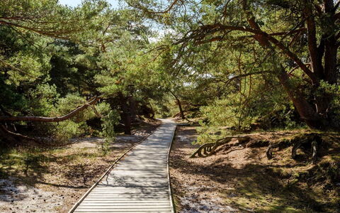 Elza - 800M from the Sea: Tag, Hus, Land Lot, Hjem, Sommerhus, Estate, Garden Bygninger, Skygge, Bjælkehytte, Landscaping