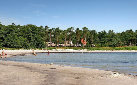 Ødmar - 400M from the Sea: Strand, Kyst, Kyst, Coastal Og Oceaniske Landskabsformer, Hav, Vind Wave, Sand, Bølge, Ocean