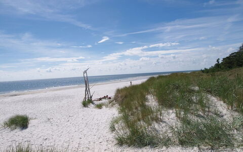 Dagi - 300M from the Sea: Træ, Hus, Sommerhus, Hjem, Tag, Landdistrikt, Sidespor, Bjælkehytte, Garden Bygninger, Hårdttræ