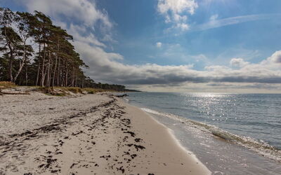 Hildegerd - 500M from the Sea