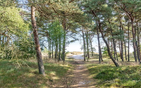 Selvi - 125M from the Sea: Tag, Hus, Hjem, Sommerhus, Sidespor, Estate, Indkørsel, Garden Bygninger, Gård, Skur