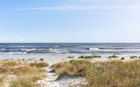 Selvi - 125M from the Sea: Tag, Hus, Hjem, Sommerhus, Sidespor, Estate, Indkørsel, Garden Bygninger, Gård, Skur