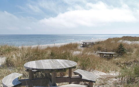 Jale - 50M from the Sea: Træ, Hus, Sommerhus, Hjem, Tag, Landdistrikt, Sidespor, Bjælkehytte, Garden Bygninger, Hårdttræ