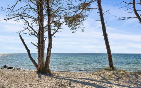 Ila - 500M from the Sea: Blå, Krop Af Vand, Træ, Kyst, Strand, Coastal Og Oceaniske Landskabsformer, Kyst, Hav, Sand