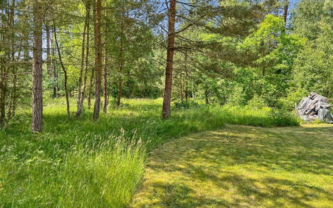 Ila - 500M from the Sea: Grøn, Græs, Træ, Blad, Naturligt Miljø, Naturlige Landskab, Vegetationen, Græs-, Sommer, Busk