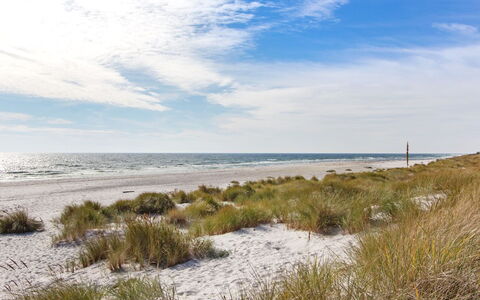 Loke - 300M from the Sea: Træ, Hus, Sommerhus, Hjem, Tag, Landdistrikt, Sidespor, Bjælkehytte, Garden Bygninger, Hårdttræ