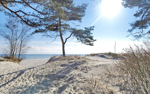 Franzine - 200M from the Sea: Sommerhus, Have, Sidespor, Garden Bygninger, Skygge, Gård, Backyard, Lawn, Stuehus, Landscaping