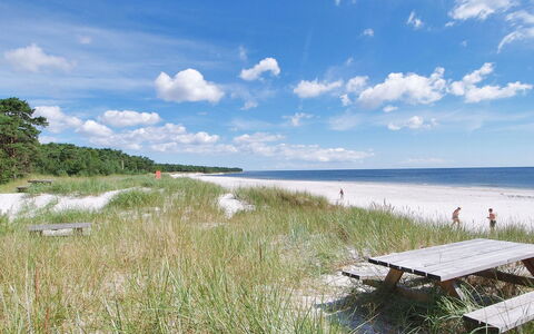 Franzine - 200M from the Sea: Sommerhus, Have, Sidespor, Garden Bygninger, Skygge, Gård, Backyard, Lawn, Stuehus, Landscaping