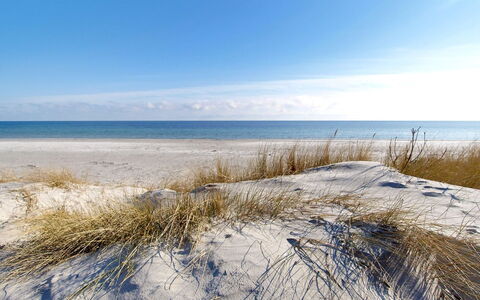 Franzine - 200M from the Sea: Sommerhus, Have, Sidespor, Garden Bygninger, Skygge, Gård, Backyard, Lawn, Stuehus, Landscaping