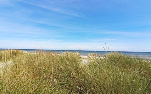 Gaja - 1Km from the Sea: Blå, Horisont, Økoregion, Kyst, Coastal Og Oceaniske Landskabsformer, Hav, Strand, Kyst, Ocean