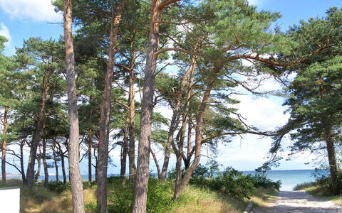 Muriel - 150M from the Sea: Træ, Hus, Sommerhus, Hjem, Tag, Landdistrikt, Sidespor, Bjælkehytte, Garden Bygninger, Hårdttræ