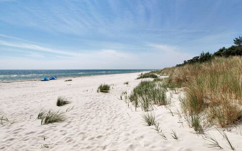 Michel - 300M from the Sea: Træ, Hus, Sommerhus, Hjem, Tag, Landdistrikt, Sidespor, Bjælkehytte, Garden Bygninger, Hårdttræ