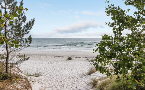 Fastulf - 300M from the Sea: Træ, Bejdse, Planke, Hårdttræ, Sommerhus, Dæk, Sidespor, Skygge, Trægulve, Garden Bygninger