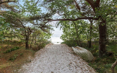 Fastulf - 300M from the Sea: Græs, Træ, Landdistrikt, Busk, Sommerhus, Tag, Almindeligt, Land Lot, Hjem, Bunddække